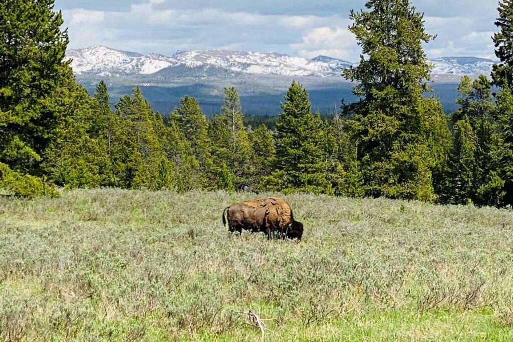 Bear Lair At Teton Valley Idaho Holiday home