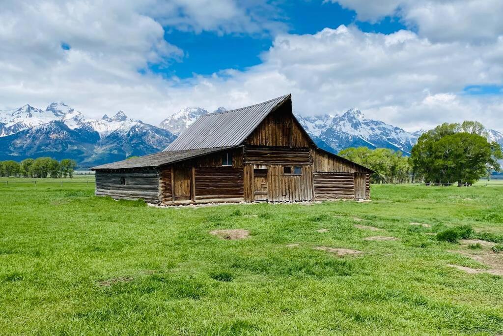 Bear Lair At Teton Valley Idaho *
